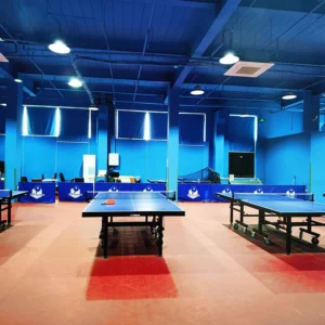 Table Tennis Flooring
